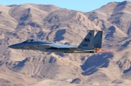 F-15C (6)