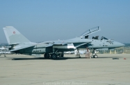 44-F-14A_159615_NFWS33_10-1993_Miramar