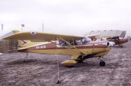 Beagle-A-109-Airedale