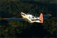 WWII Ace Jim Brooks and February Video-51 February