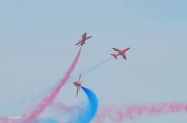 DSC_0202-2