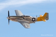 Warbirds (6)[1]