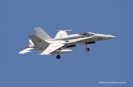 FA-18 ES (4)