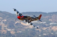 8Z0A8358