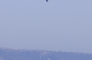 IMG_44681-1