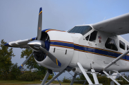 BEAVER-2