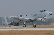 23rd_WG_A-10_9686