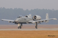 Moody_AFB_23rd_WG_A-10_9779