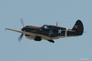 WarbirdP40