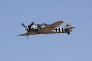 FW-190