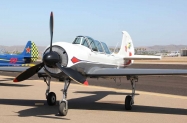 Yak-52 (2)