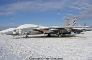 15 F-14A 161603