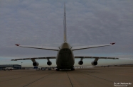 _MG_6805 (1000x667)