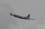 1 b29