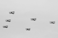 1 pt17s