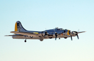 8-Liberty-Belle