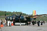 61960065