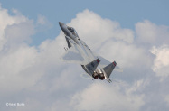 F-15-cloud-camo-m