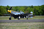 bob-fa-1