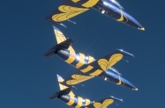 bees15-234