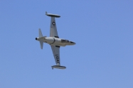 t-33