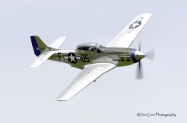 P-51D "Tiger's Revenge"