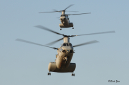 1_Boeing_CH-46s_Yuma_1731