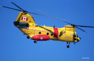 CH-113-3