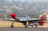 Warbirds-P-51D Bunny