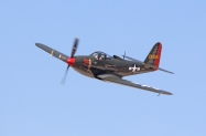 Warbirds-P-63