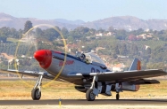 P-51D (10)