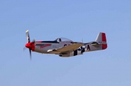 P-51D (12)