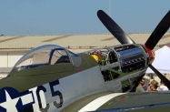 P-51D (7)