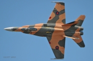 RCAF_CF-18_Demo_4534