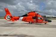 HH-65C_6560_Miami_IMG_3429