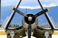 AF4A0581