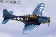 AF4A2088 - Copy