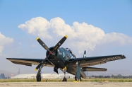 F8F (3)