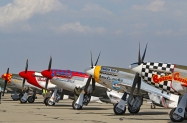 P-51 (346)