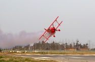 ST (17)