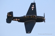 TBM (1)