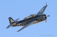 TBM (111)