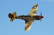 P-40 (11)
