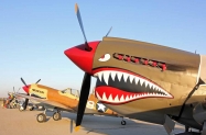 P-40 (3) copy