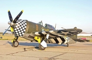 P-47 (9)