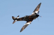 Spitfire (1)