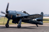 Bearcat