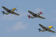 P51_three-ship