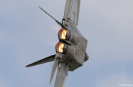 F22_Burner