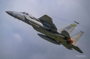 Enhc-F-15C-JZ-86-0174-sR-9059
